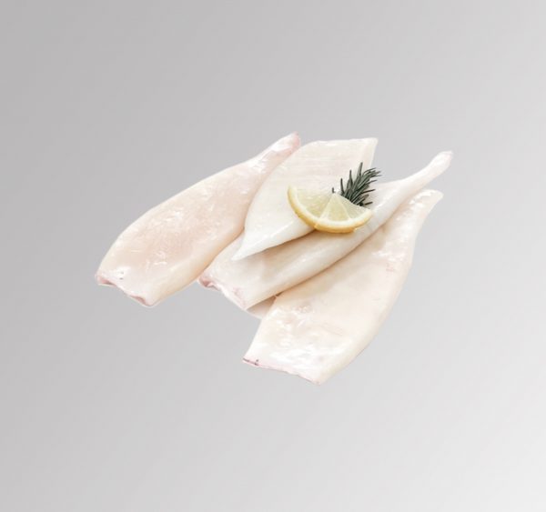 Calamares U10 – kg